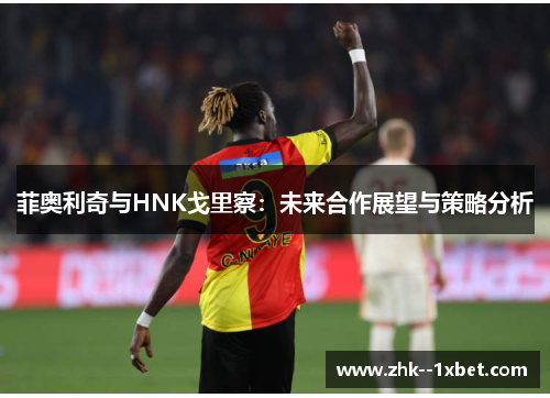 菲奥利奇与HNK戈里察：未来合作展望与策略分析